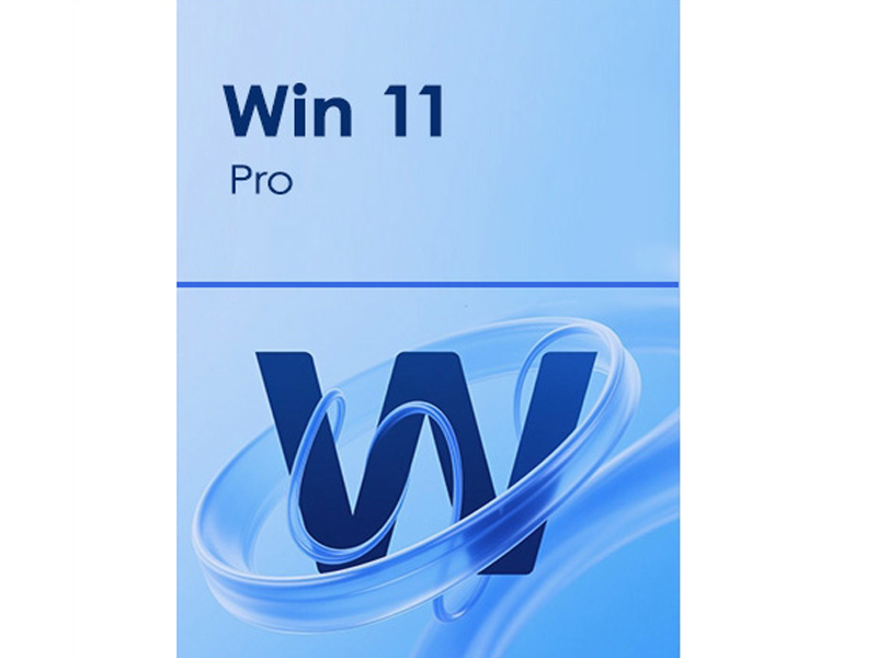 Licencia OEM Windows 11 Pro